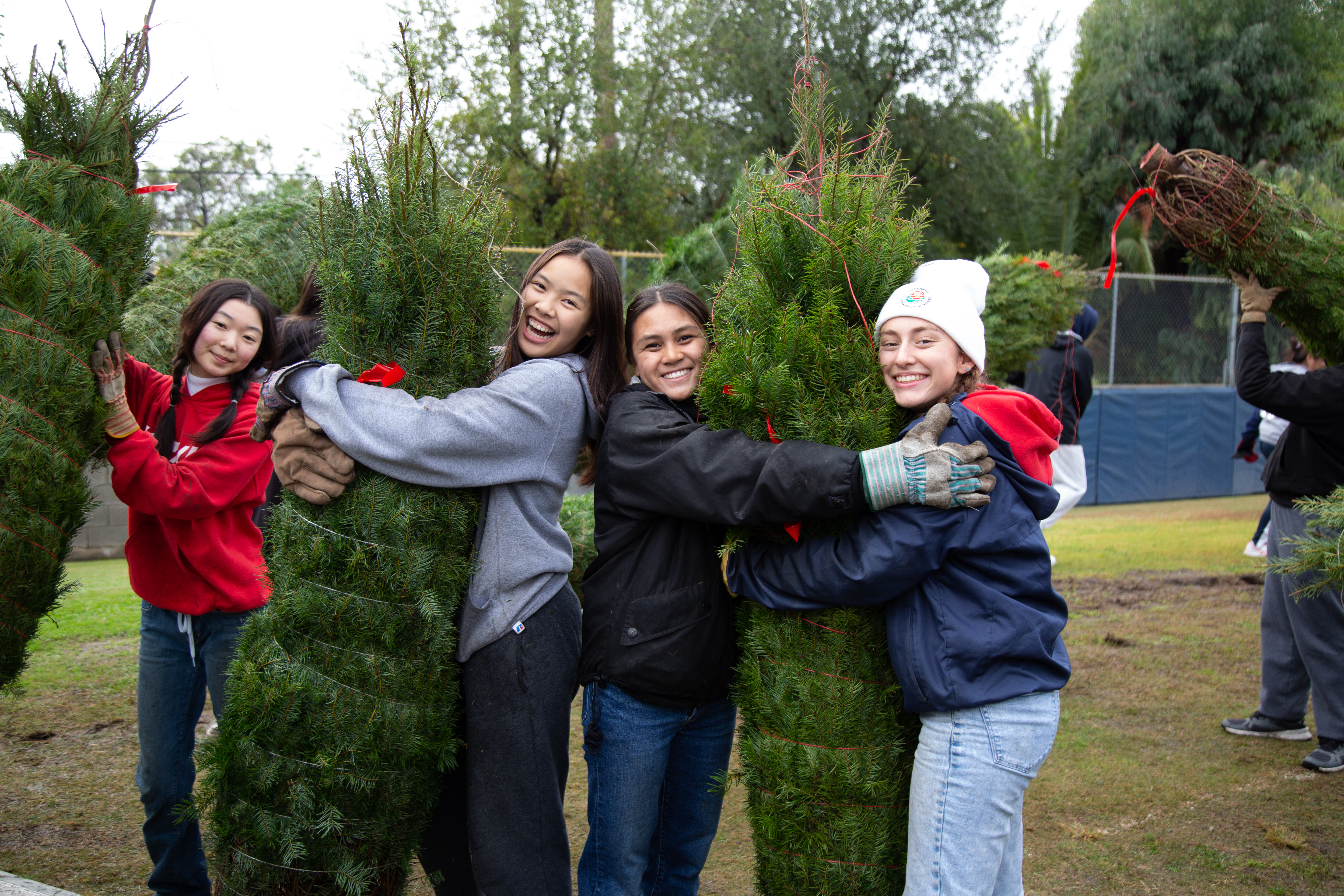 gallery_distribution_girls_treehug