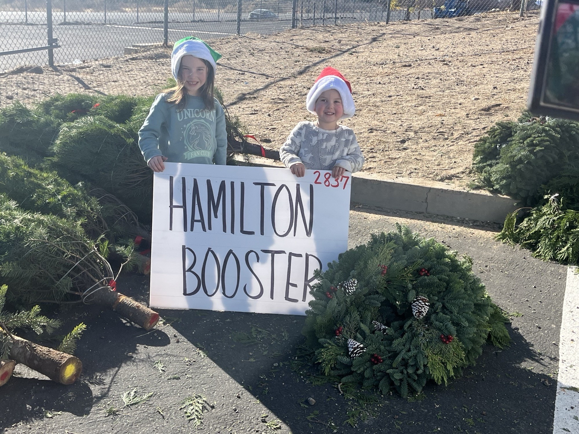 gallery_distribution_hamilton_cuties