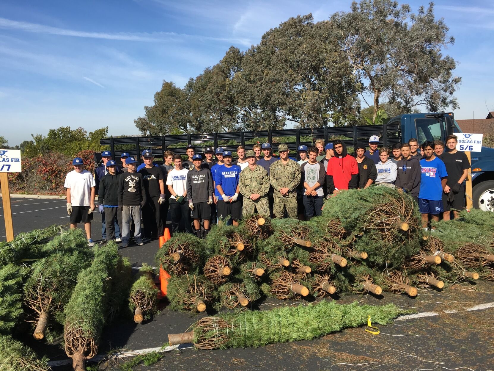 gallery_groups_danahills_baseball