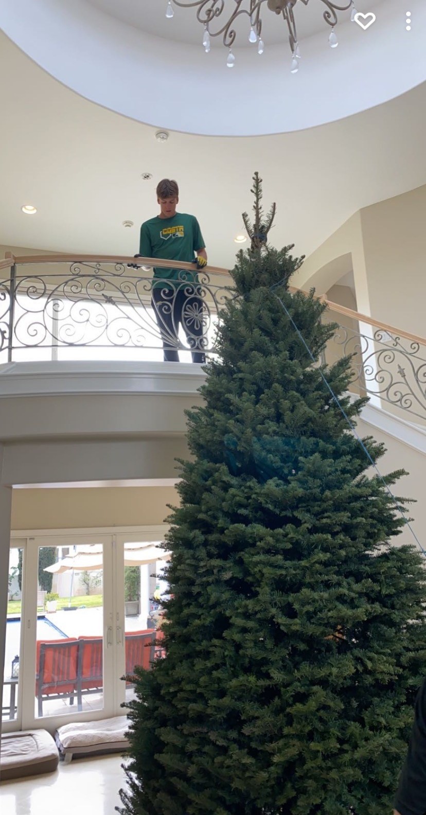 gallery_trees_miracosta_giant_tree