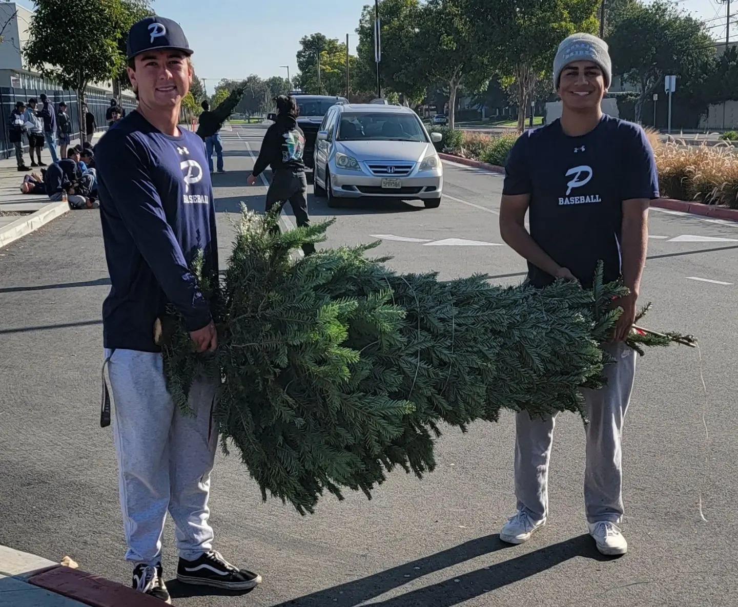 gallery_trees_pacifica_baseball