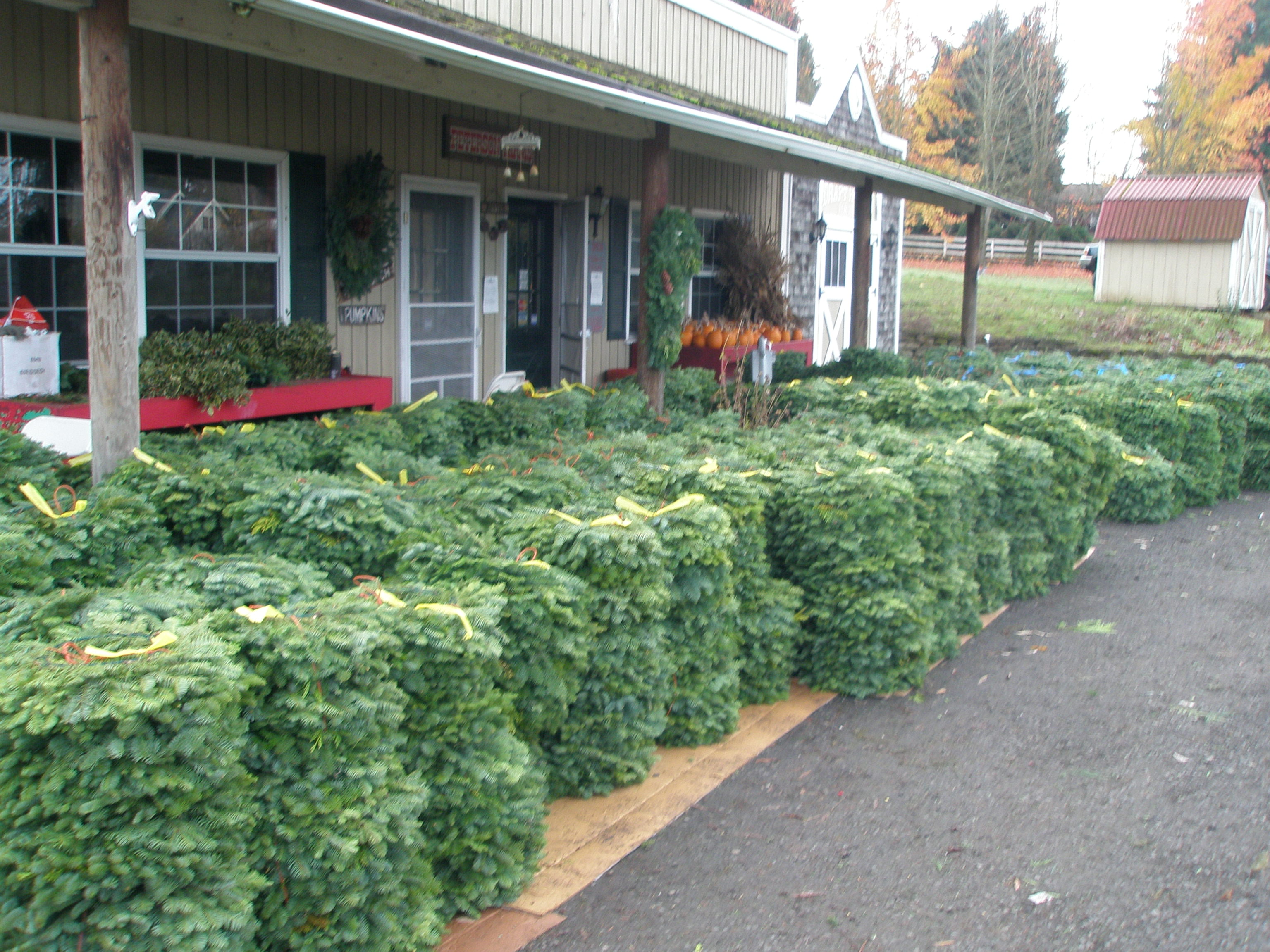 gallery_wreaths_stacked
